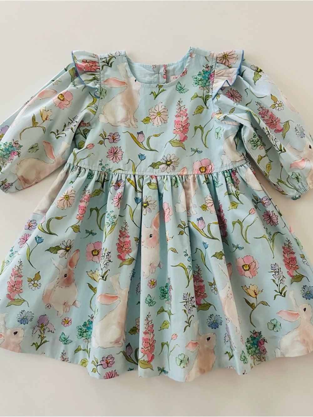 Pink Chicken 3T Toddler Girl Light Blue Botanical Bunnies Floral Dress Easter